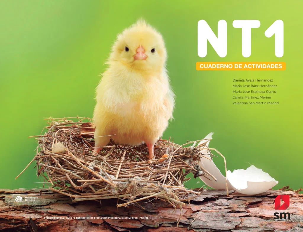 Cuaderno de Actividades NT1 Educación Parvularia 1 cuaderno de actividades nt1 educacion parvularia 2020
