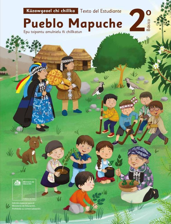 Índice de Pueblo Mapuche 2° Básico - Texto del Estudiante